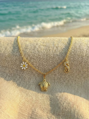 Collier Turtle Bay Signature
