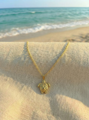 Collier Turtle Bay